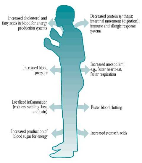 how-stress-affects-your-health